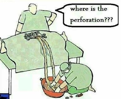 PERFOR.jpg